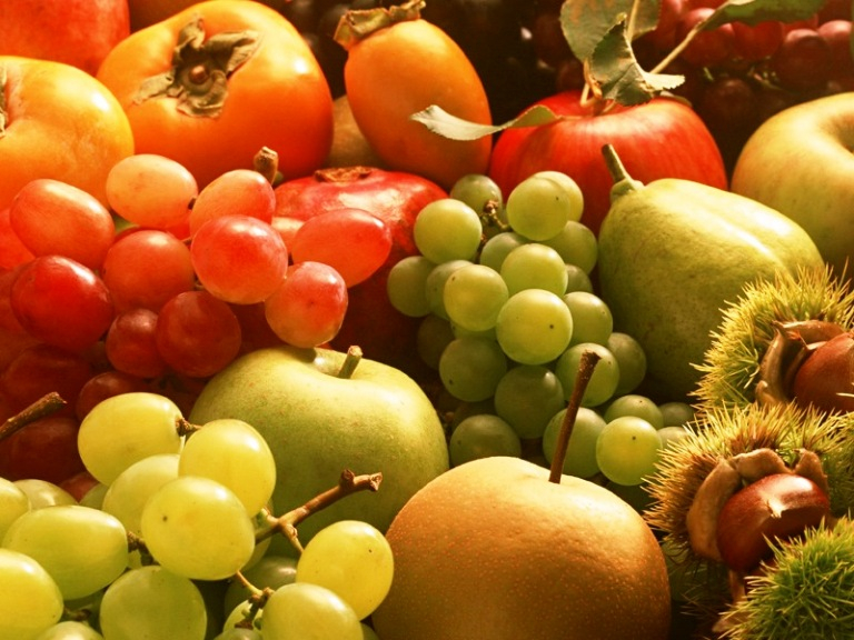 Komplex na kultivaci ovoce má podpořit ekonomický růst v Limburku