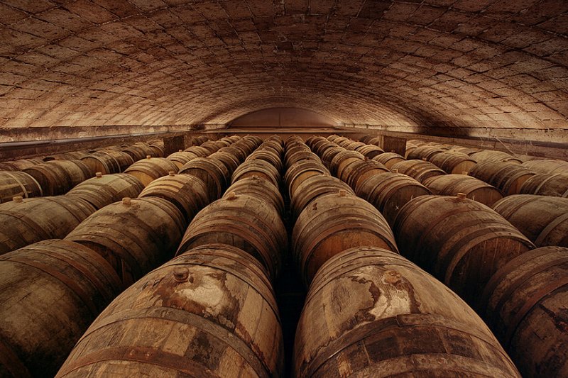 Přední výrobce vína cava nemá práci pro zaměstnance v Katalánsku kvůli suchu