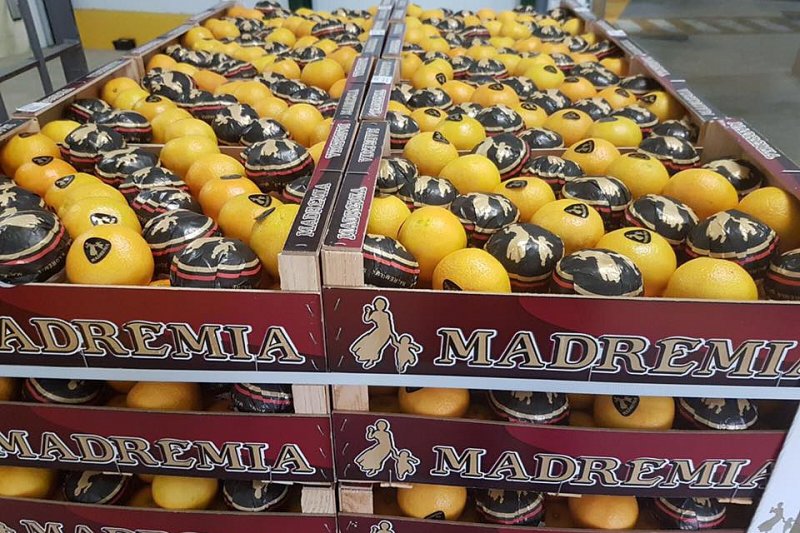 Brněnská Winning Group koupila dva španělské zpracovatele a distributory ovoce