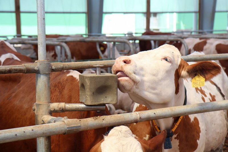 Farmtec z Táborska loni představil nové technologie, tržby i zisk mírně rostly