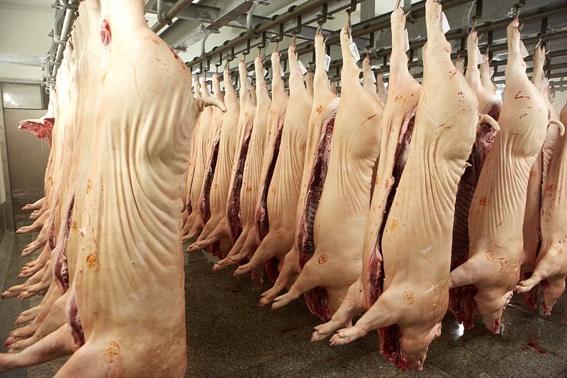 Čína se rozhodla uvalit předběžná antidumpingová cla na dovoz vepřového z EU