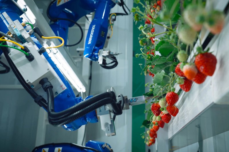 Konference napoví, co čeká výrobce potravin a nápojů v oblasti robotizace, automatizace nebo umělé inteligence