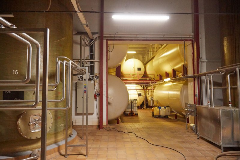 Linea Nivnice investovala do linky na výrobu energetických nápojů v plechovkách