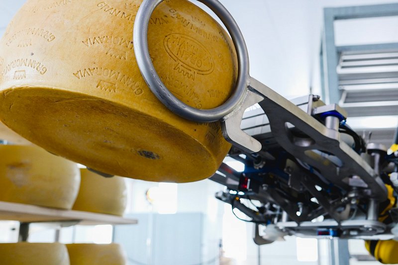 Výrobce parmazánu Brazzale Moravia měl loni rekordní tržby, většinou vyváží do Itálie