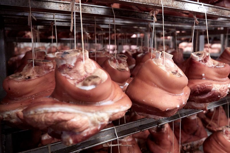 Globální ceny potravin se v únoru vrátily k růstu po pěti měsících poklesu