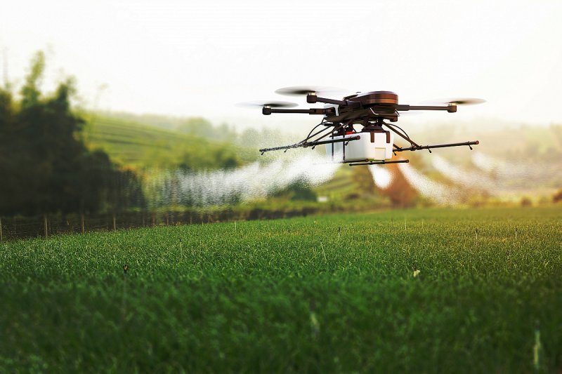 Tuřanského kysaného zelí se má vyrábět více, v plánu je využití dronu i automatické zavlažování