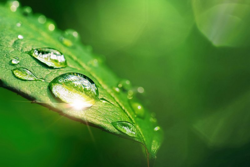 Vědci porovnají vhodnost zásahů do krajiny pro lepší hospodaření s vodou