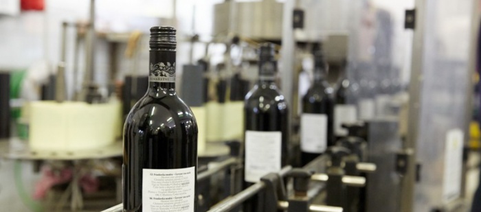 Světová produkce vína se vloni zvýšila o 17 procent