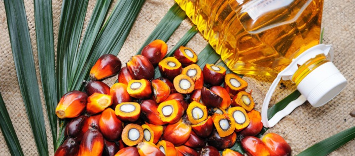 Fond vedený Gatesem investuje do syntetického palmového oleje