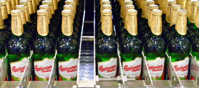Budvar kvůli koronaviru omezí výrobu, má plné sklady
