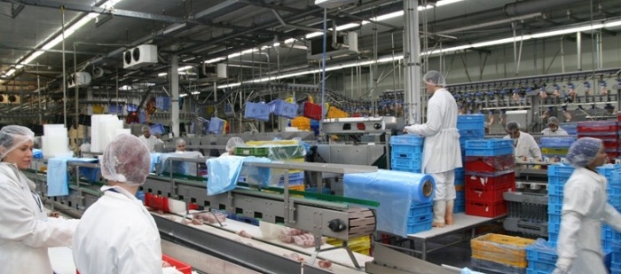 Vodňanská drůbež zvýšila meziroční tržby o 3,48 procent na 5 miliard
