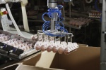 Spolupráce lidí a robotů – automatizace ve výrobě