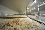 Pivovar Svijany investuje do rozšíření kapacit na 800 000 hektolitrů
