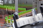 Linea Nivnice letos investovala do stáčení a skladování