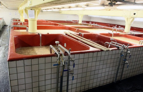 Heineken otevřel ve Velkém Březně sklad, plánuje i úpravu technologií