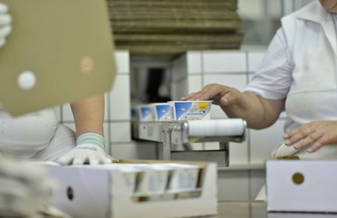Choceňská mlékárna skončila druhý rok po sobě ve ztrátě