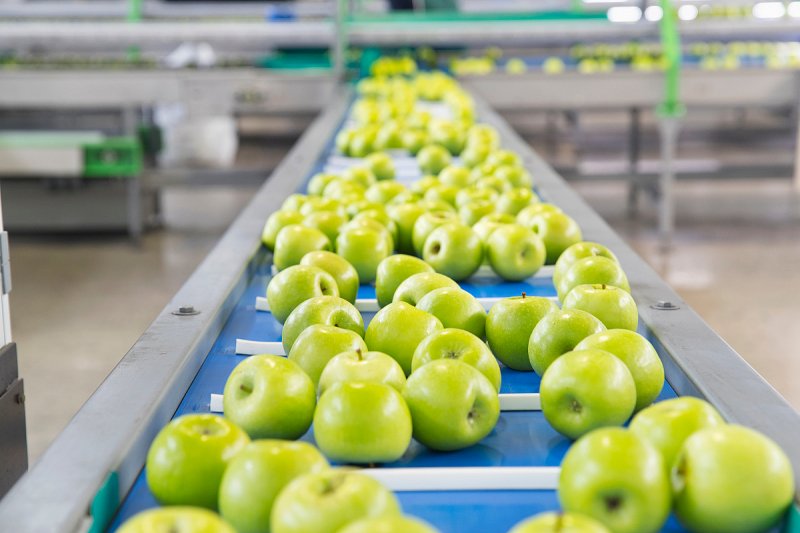Úroda jablek má být letos podprůměrná, hrušek bude nejvíc od roku 2015