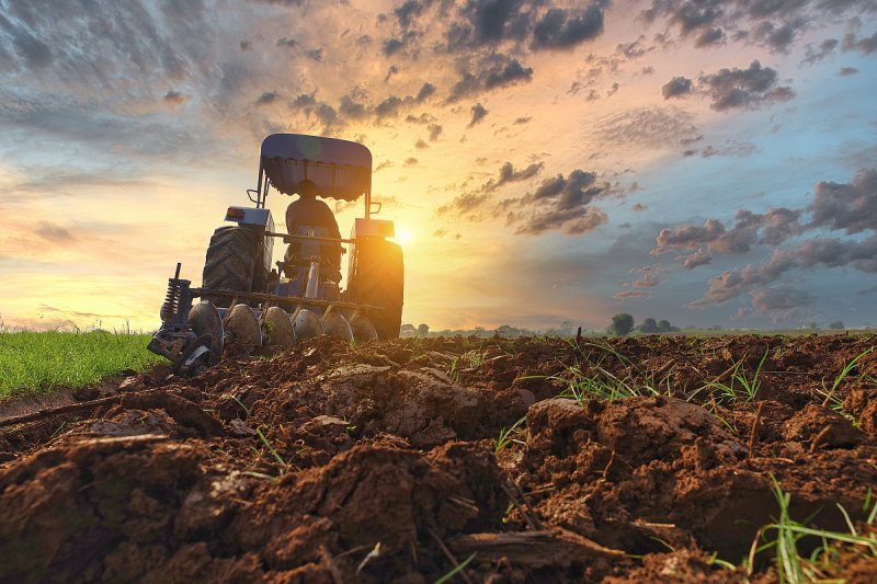Daň ze zemědělské půdy zdraží tuzemské potraviny, varuje Zemědělský svaz