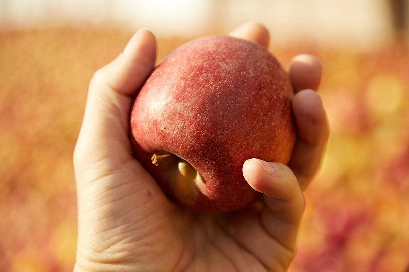 Také v červenci potraviny meziměsíčně hlavně zdražily, nejvíce jablka