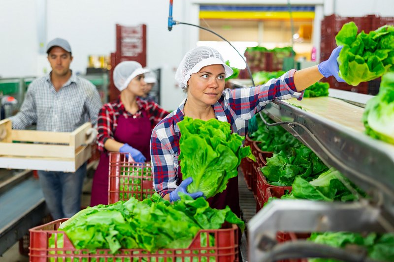 Průzkum AV: Zájem o lokální potraviny roste, 65 procent lidí by za ně připlatilo