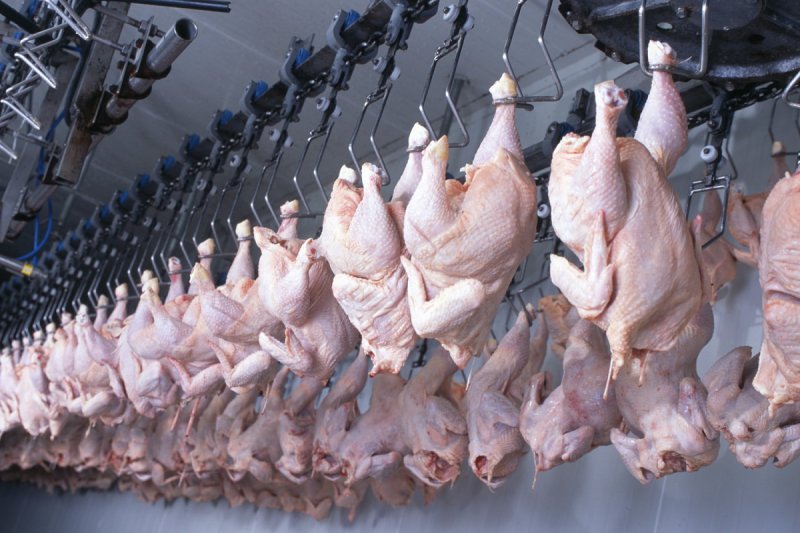 Slovenská společnost EU Poultry chystá vybudování podniku na zpracování drůbežího masa