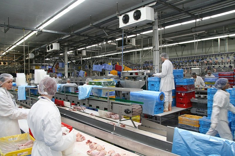 Ústavní soud odmítl stížnost Vodňanské drůbeže kvůli neproplacené dotaci