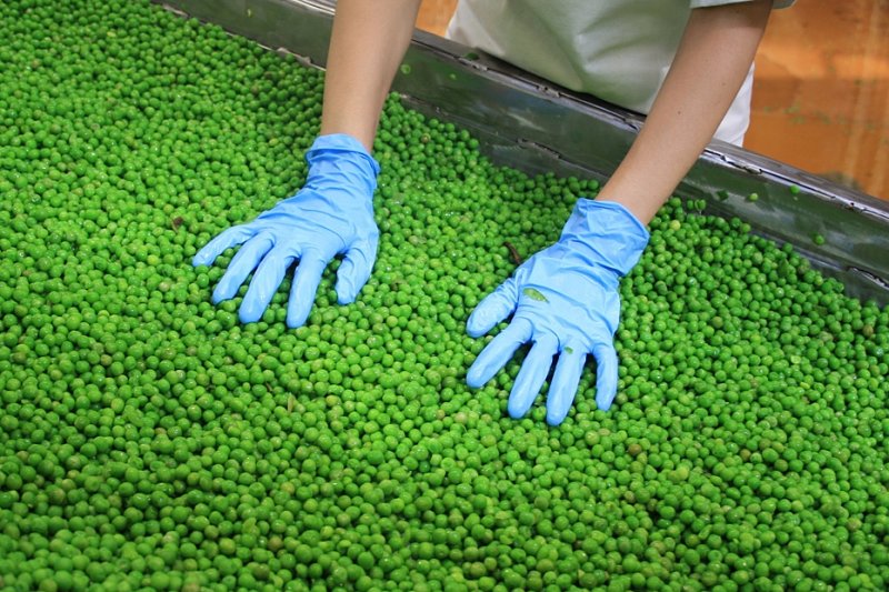 Svazy: Prozatímní zavedení dohody s Mercosurem ohrozí potravinovou suverenitu EU