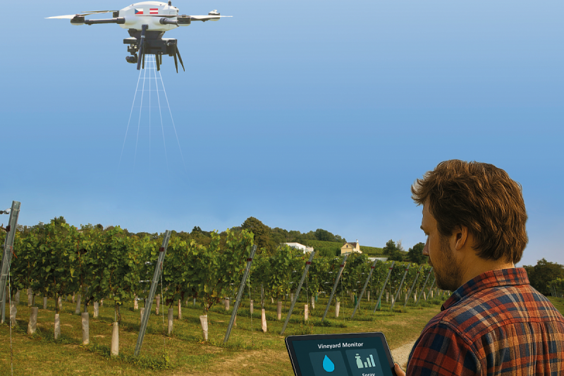 Výzkumníci z VUT řeší problémy ve vinicích pomocí strojového učení