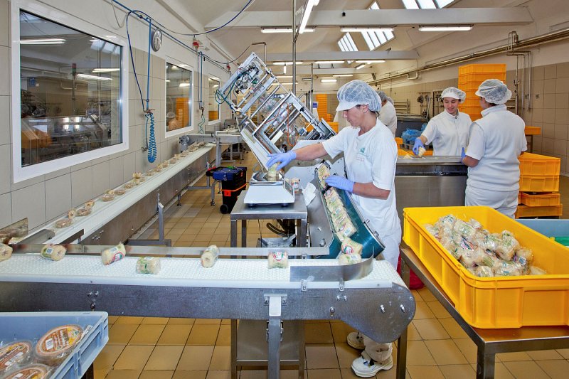 A.W. chce letos v Lošticích začít stavět závod na tvarůžky za 700 milionů korun