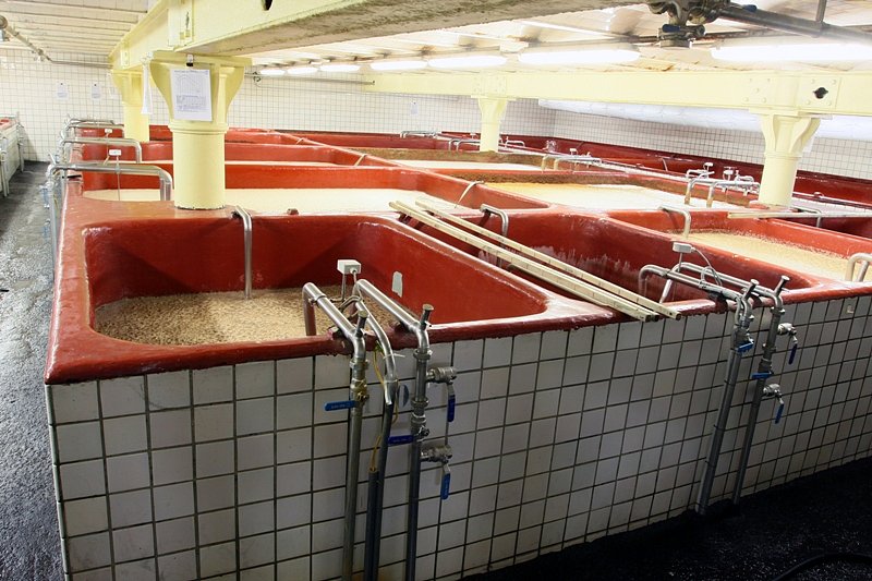 Heineken sníží objem piva uvařeného ve Velkém Březně, propouštět zatím nebude