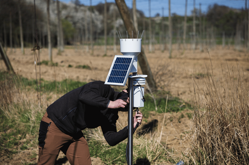 Prazdroj inštaloval meteostanice na poslednej slovenskej chmeľnici
