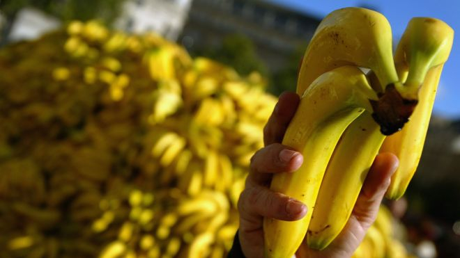 Chiquita a Fyffes vytvoří největšího světového distributora banánů 